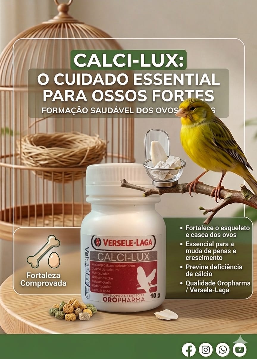 CALCI-LUX VERSELE LAGA 10G