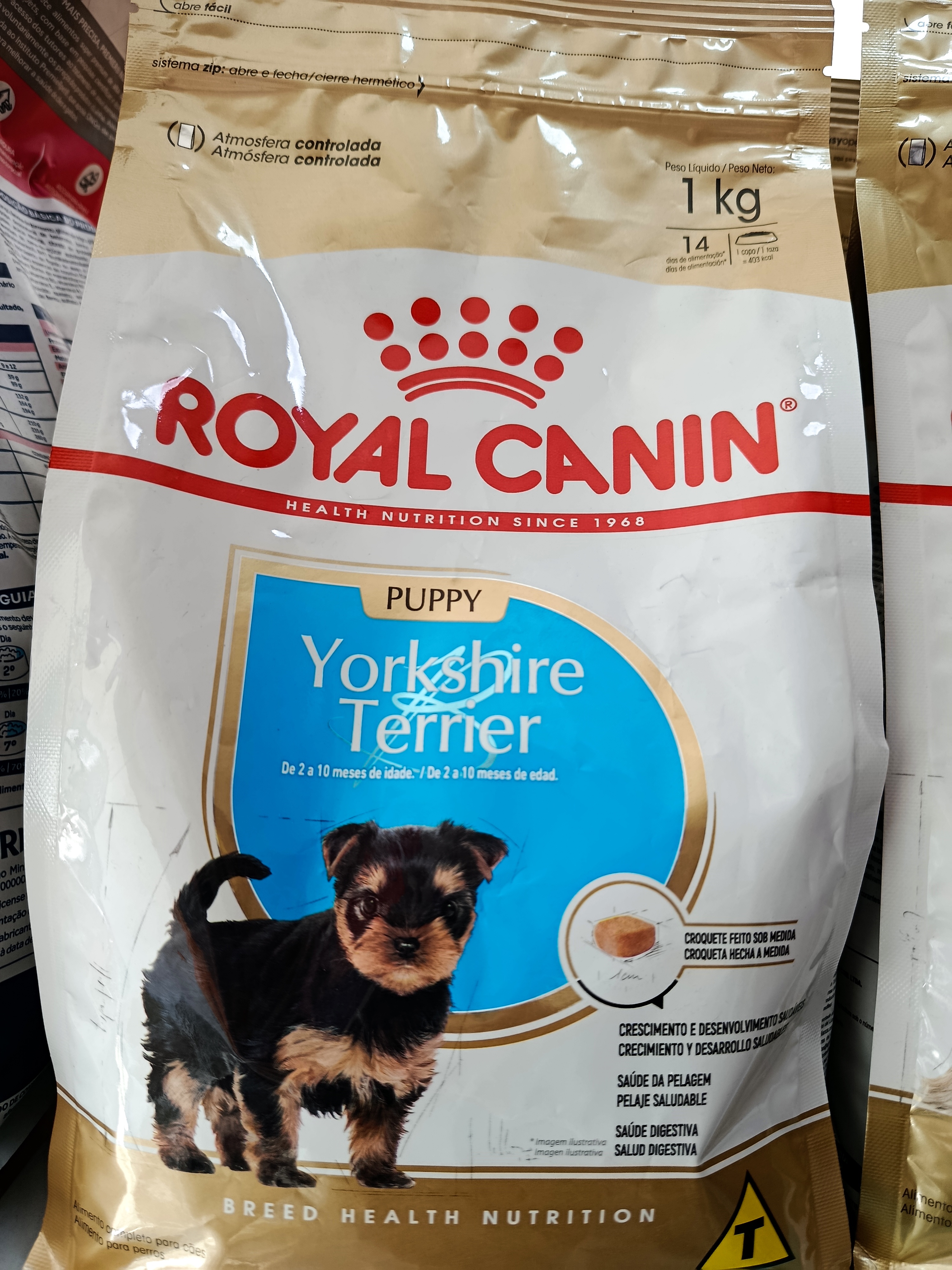 Yorkshire Terrier