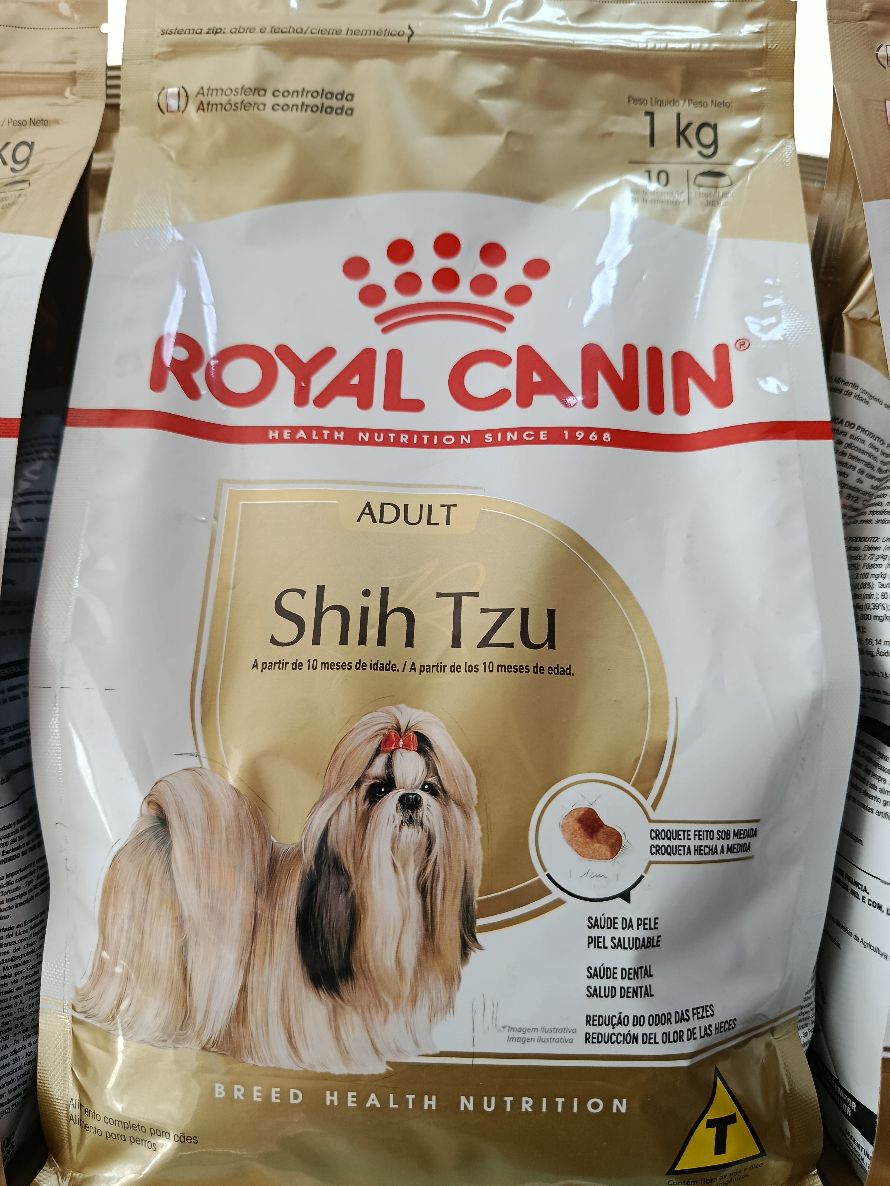Shih Tzu