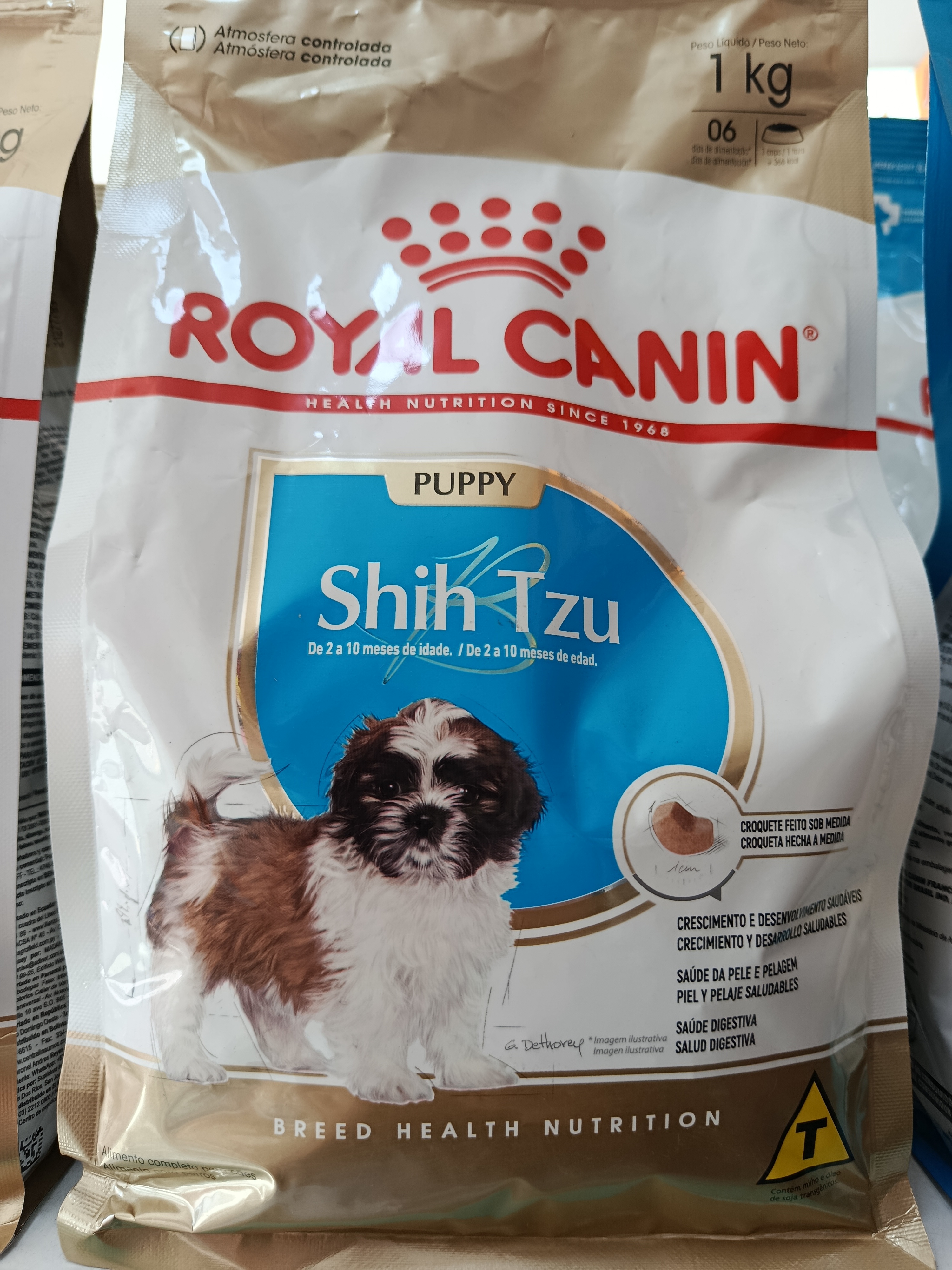 Shih Tzu