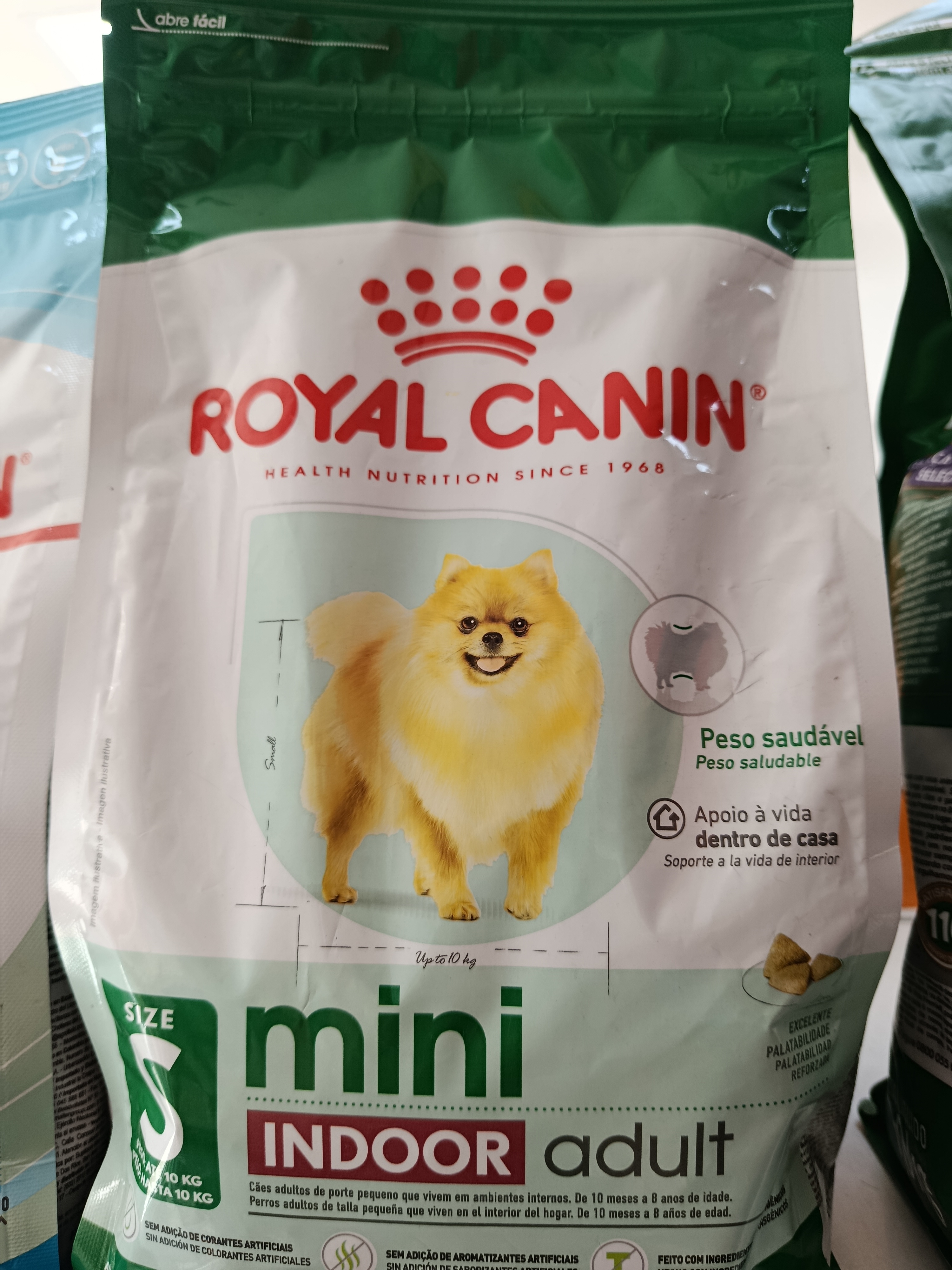 Mini indoor adult